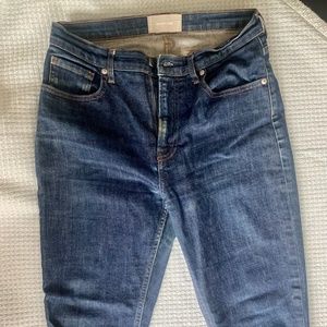 Everlane Skinny Jeans in Dark Indigo Wash